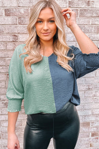 Two-Tone Textured V-Neck Blouse - The Downtown Dachshund