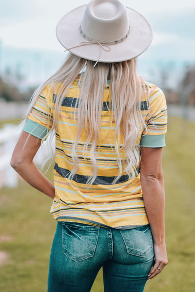 Multicolored Striped Round Neck Tee Shirt - The Downtown Dachshund